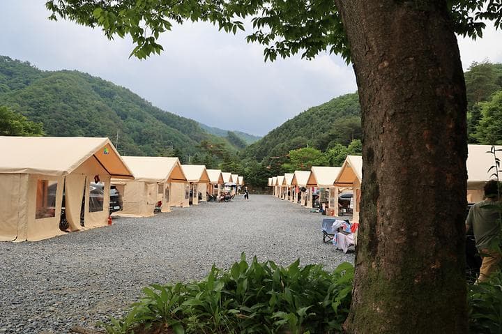 글램서마니 사진