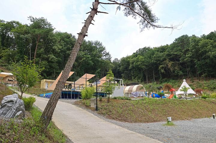 푸르른 캠핑장 사진