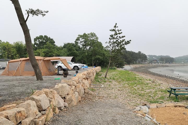 태안머드오토캠핑 사진