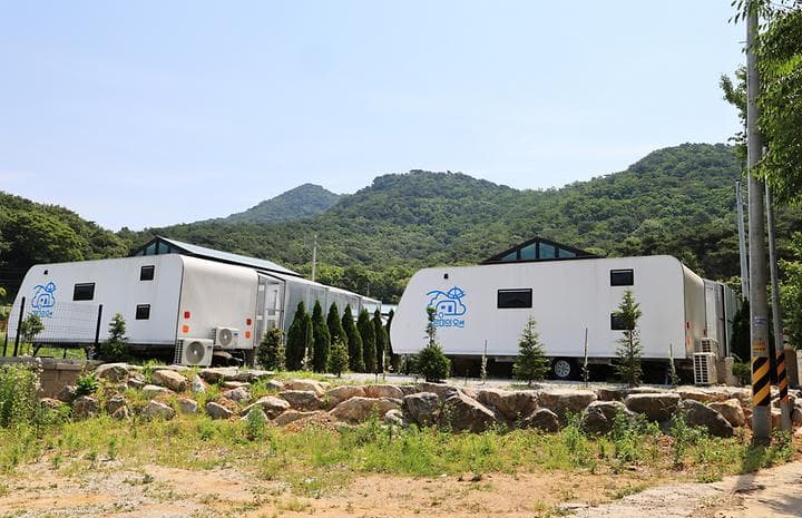 구르미의 오션 사진
