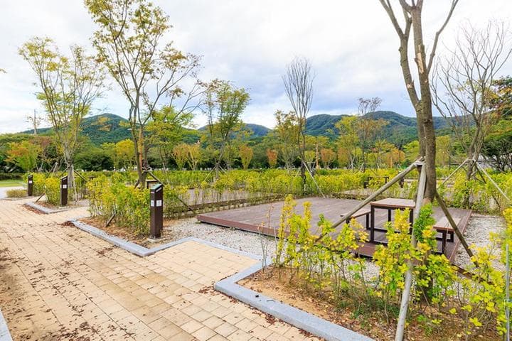 내장산국립공원 내장호야영장 사진