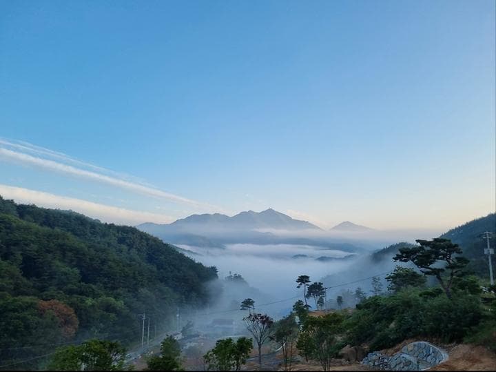 오도산 관광농원 사진