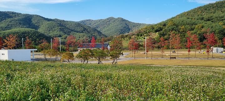 감산 사진