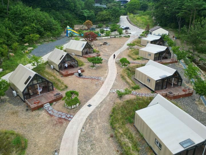 트리풀(treefull) 사진