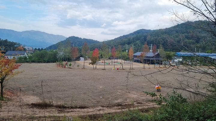포항 서숲 오토캠핑장 사진