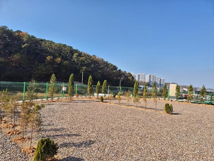 파주 성수캠핑장 사진