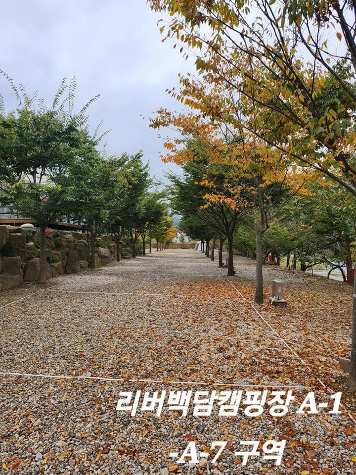 리버백담 캠핑장 사진