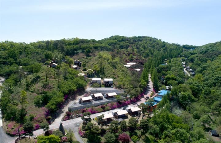 동화힐링캠프 사진