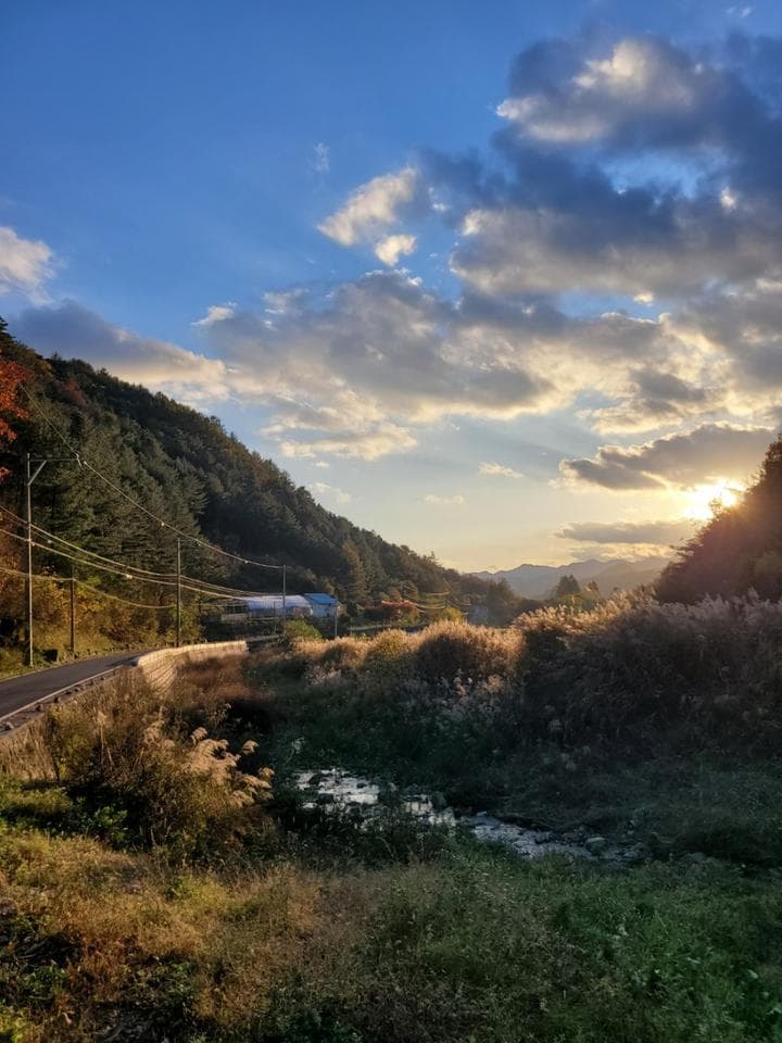 명마동 캠핑장 사진