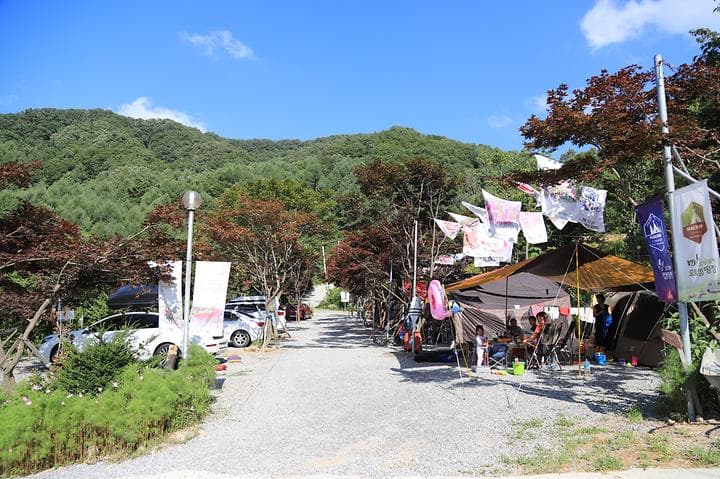 매봉힐링캠프 사진