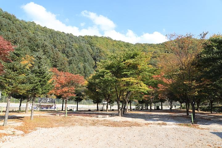 매일민박야영장 사진