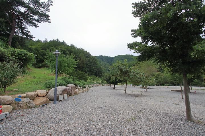 문경수예리오토캠핑장 사진