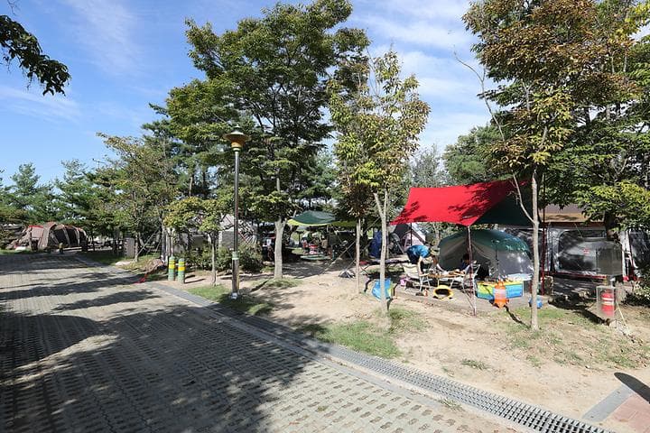 문암생태공원 사진