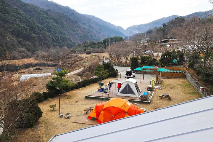 벳소캠프 사진