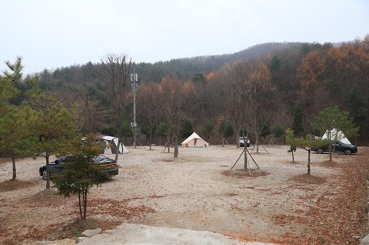 산울림관광농원 사진