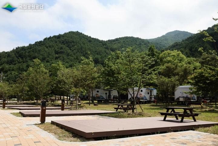 설악동자동차야영장 사진