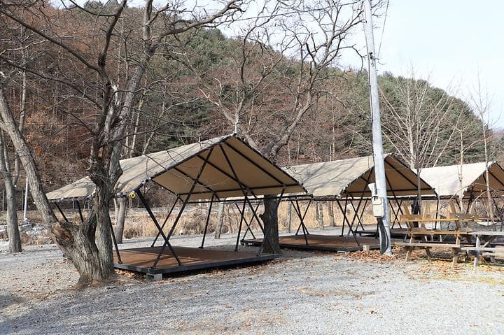 강촌포도팬션&캠핑장 사진