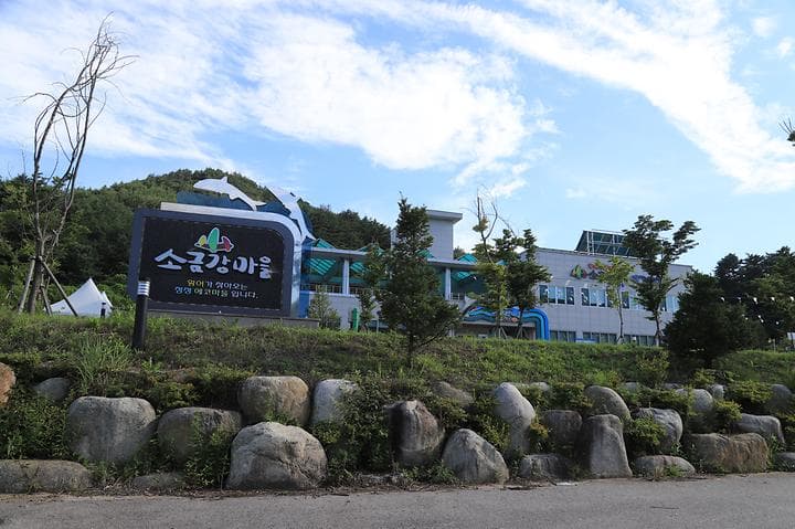 소금강마을에코센터 오토캠핑장 사진