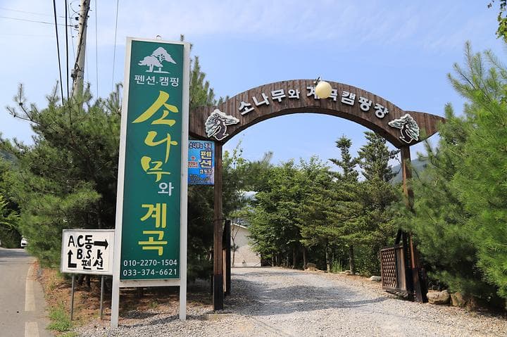 소나무와 계곡 캠핑장 사진