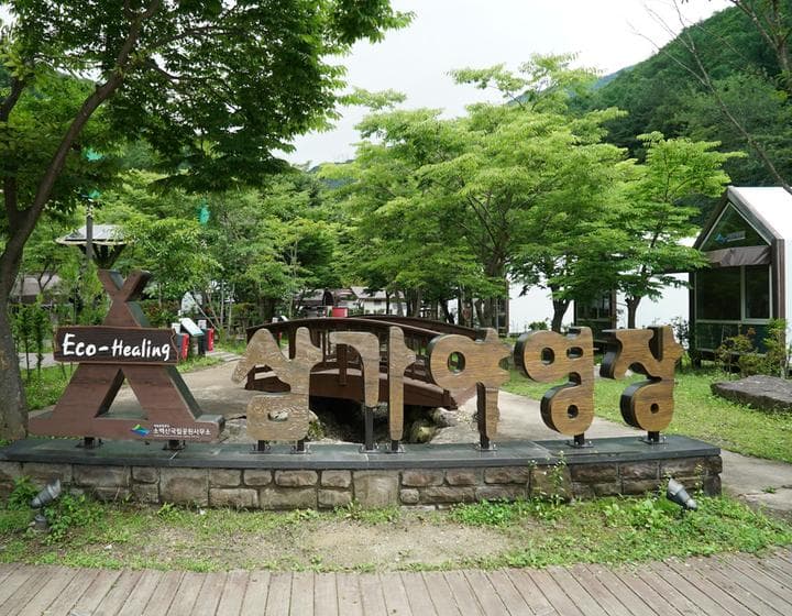 소백산국립공원 삼가야영장 사진