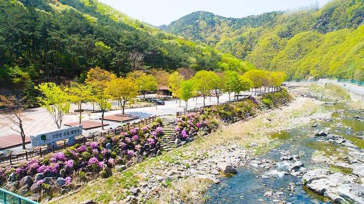 소선암 오토캠핑장 사진