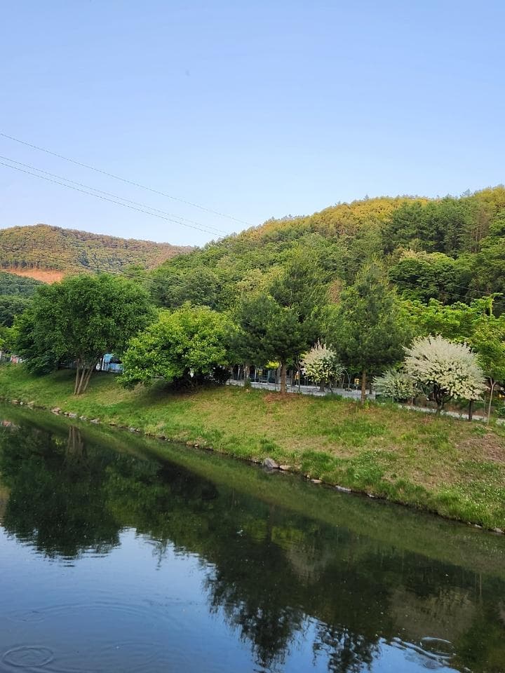 속리산알프스캠핑장&펜션 사진
