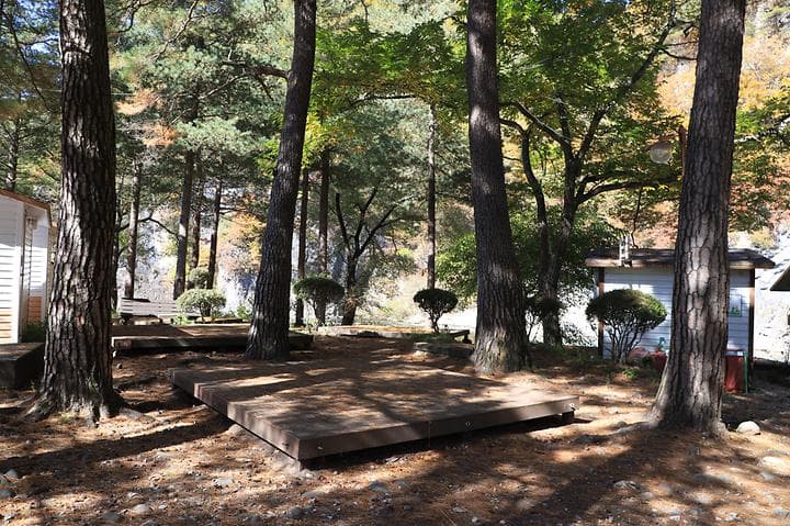 정선 삼시세끼 스쿨 캠핑장 사진