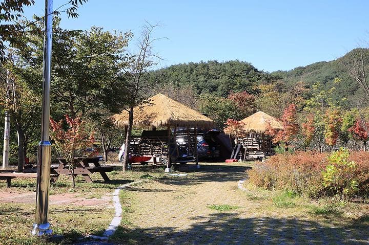 수하 캠핑파크 사진