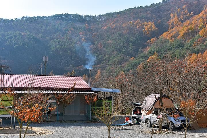 숲이조아캠핑장 사진