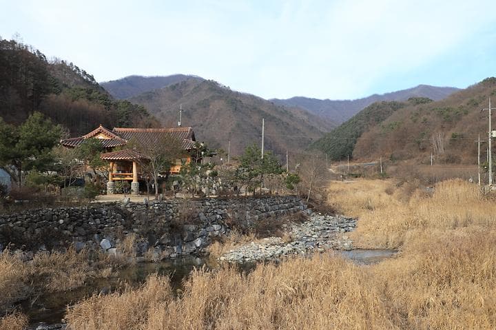 신대리야영장(주식회사 태기산마을 농업회사법인) 사진