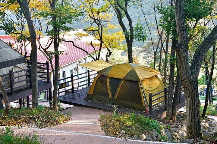 (주)신어산 자연숲캠핑장 사진