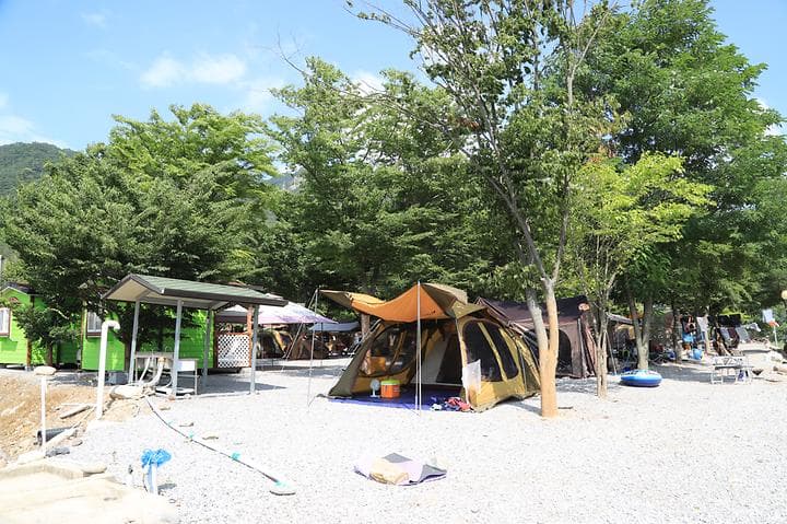 영월 외룡 캠핑장 사진 1