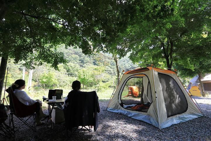 용두산오토캠핑장 사진