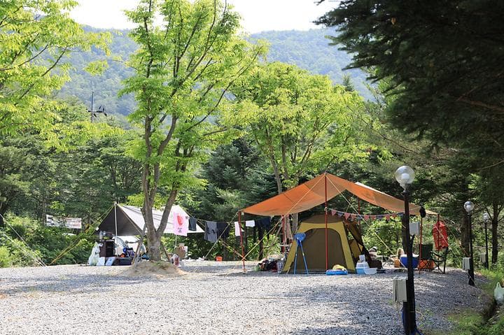 월드니스 사진