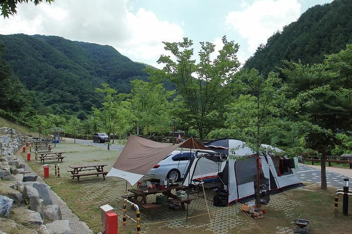 좌구산오토캠핑장 사진