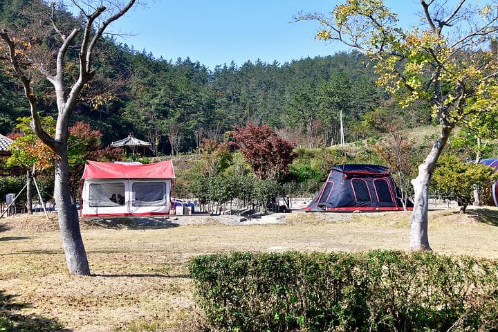 진도풍경오토캠핑장 사진