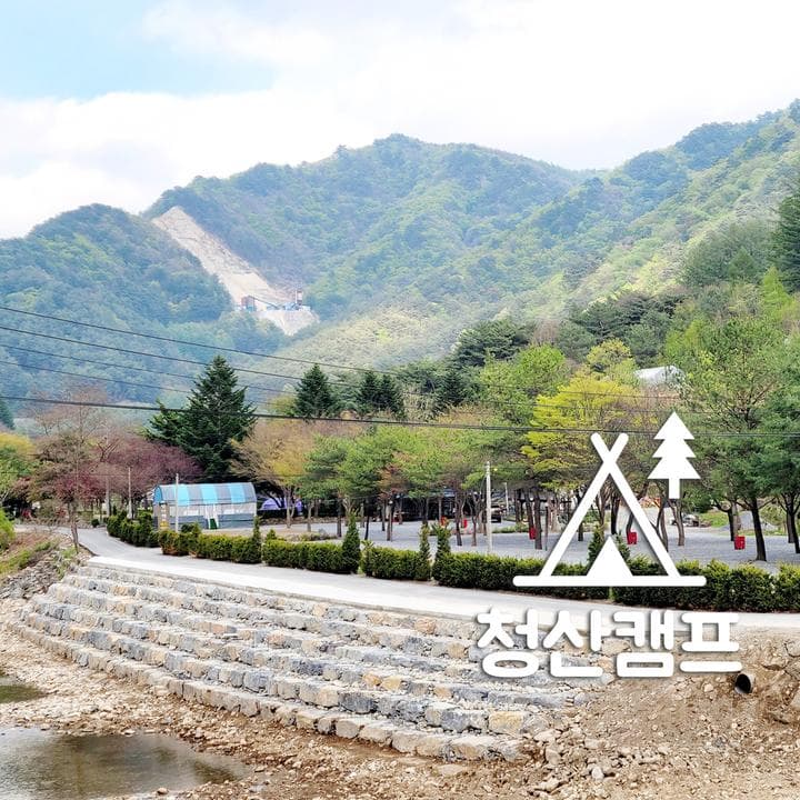청산 캠프 사진