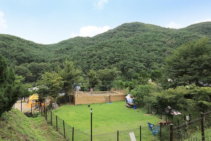 트리독스 애견전용캠핑장 사진