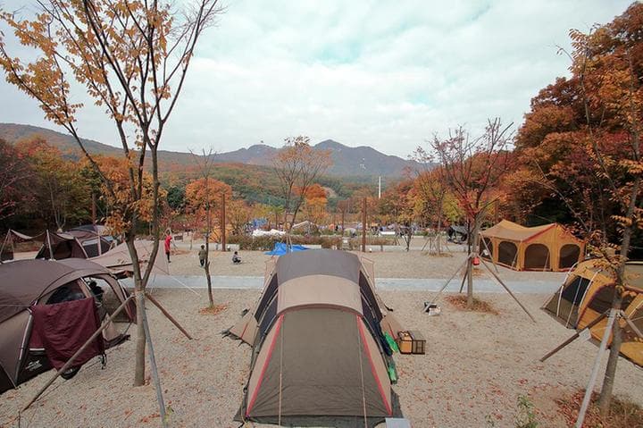 초막골생태공원 느티나무야영장 사진