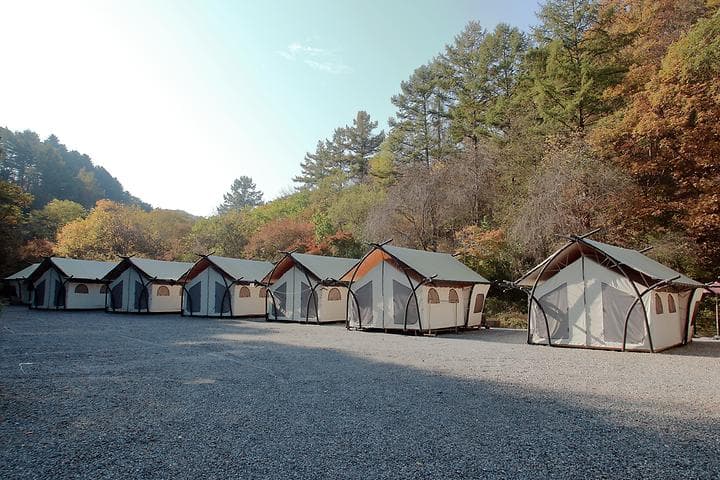 석산계곡 코코비발디글램핑 카라반 오토캠핑장 사진