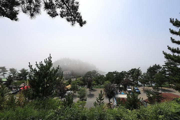 SE클럽(태안둘레길캠핑장&펜션) 사진