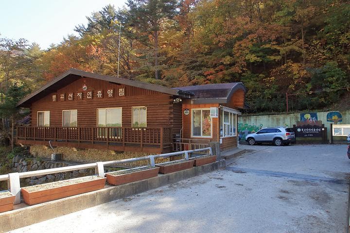 통고산 자연휴양림야영장 사진