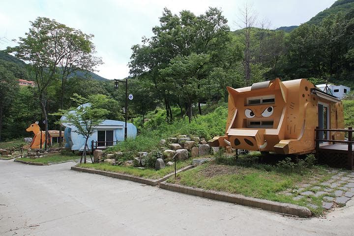 팔공산금화자연휴양림 사진