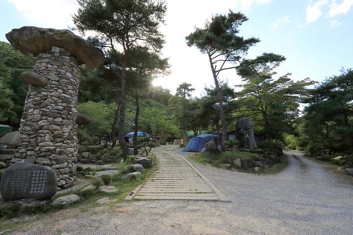 드래곤오토캠핑장 사진