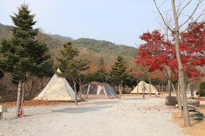 프라임캠핑장 사진