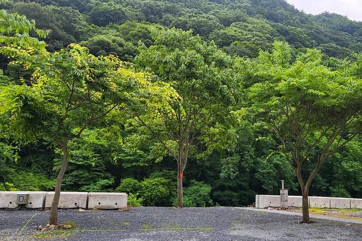 하옥 가람캠핑장 사진