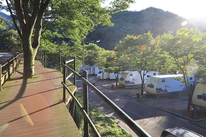 구룡자동차야영장(치악산국립공원) 사진
