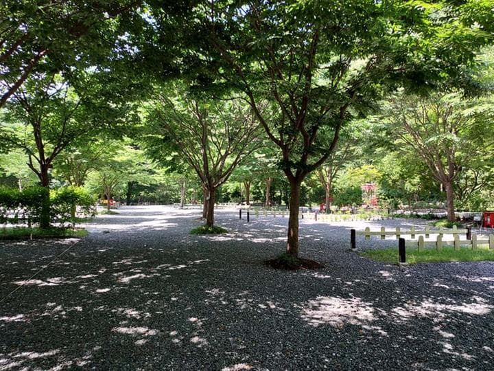 횡성산울림오토캠핑장 사진
