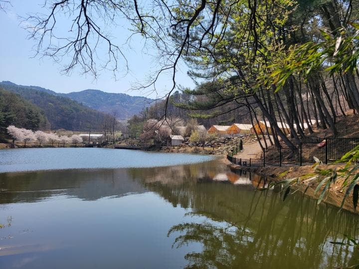판앤팜 치유정원 사진