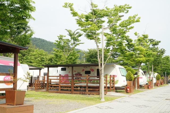 낙동강레포츠밸리 구지오토캠핑장 사진